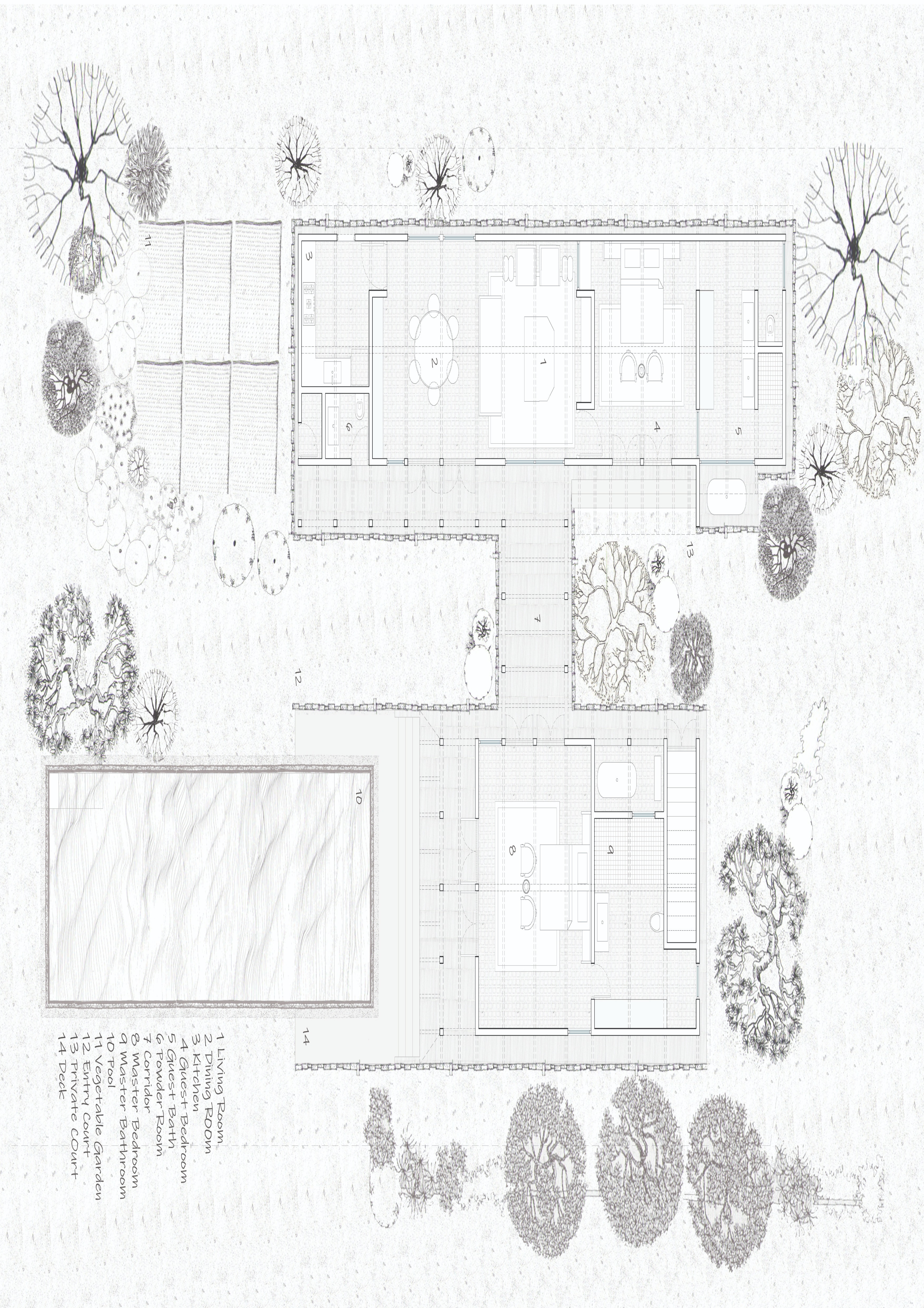 Pavilion House - Contemporary residential design